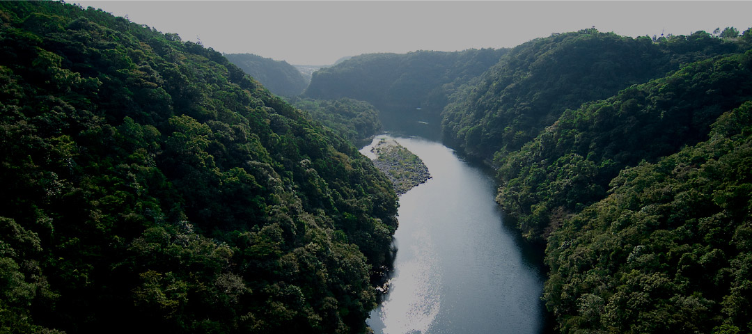 世界自然遺産の島「屋久島」