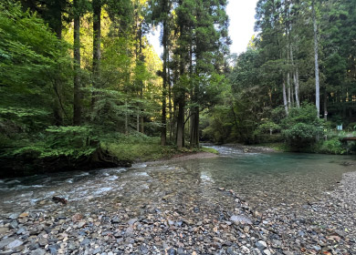 宮崎県 えびの市大河平の山林付近の川