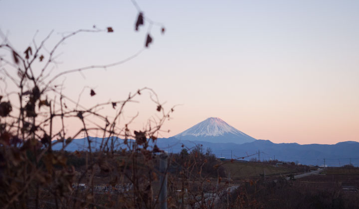 穂坂日之城農場から望む富士山