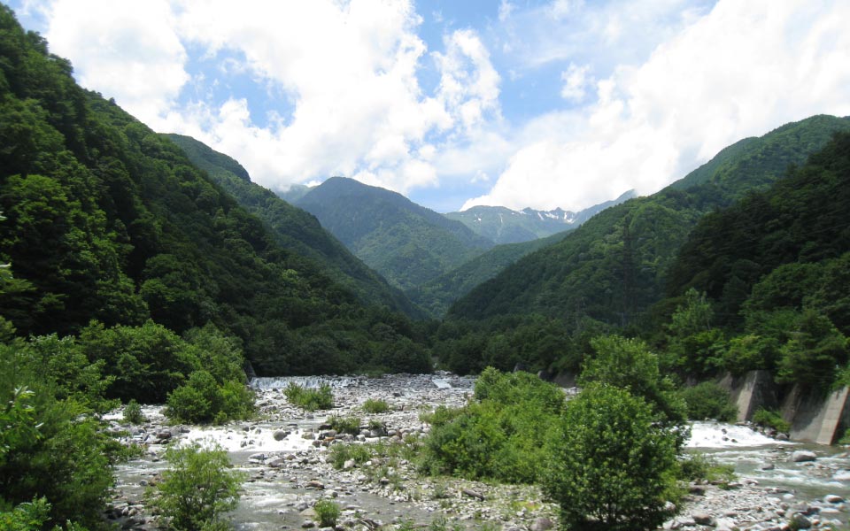 マルス駒ヶ岳蒸溜所付近の自然