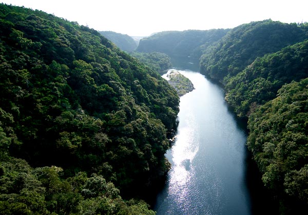 屋久島の川