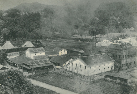 本坊兄弟商会／1921年