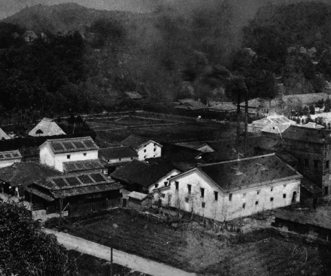 1921年 本坊酒造の本坊兄弟商会時代の建物写真